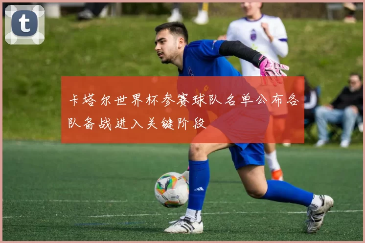 卡塔尔世界杯参赛球队名单公布各队备战进入关键阶段