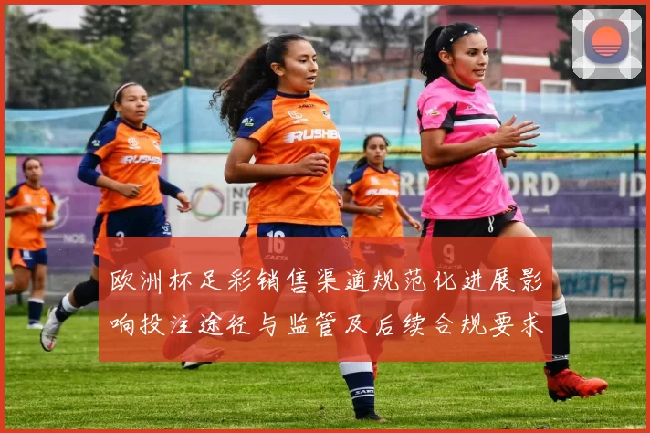 欧洲杯足彩销售渠道规范化进展影响投注途径与监管及后续合规要求