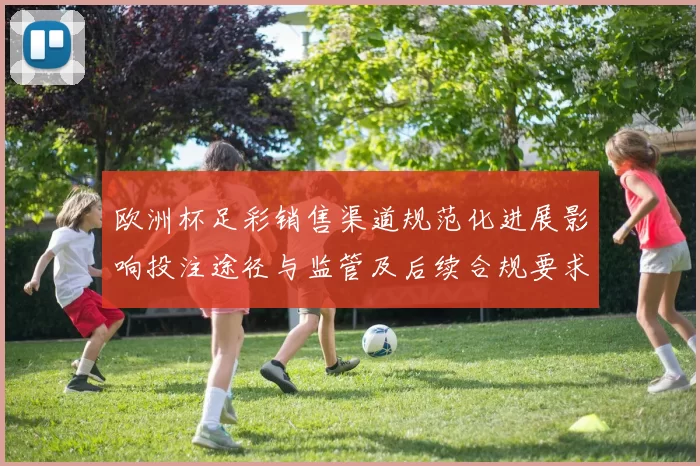 欧洲杯足彩销售渠道规范化进展影响投注途径与监管及后续合规要求