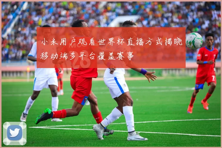 小米用户观看世界杯直播方式揭晓移动端多平台覆盖赛事