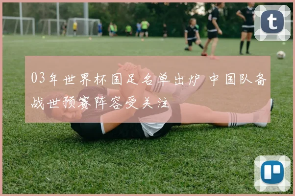 03年世界杯国足名单出炉 中国队备战世预赛阵容受关注