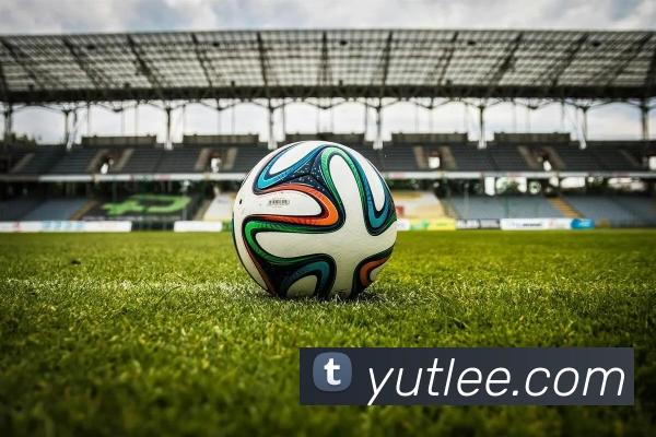 开云手机在线登陆入口平台生态图